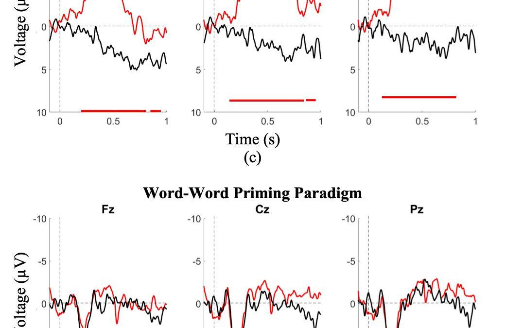 Event-Related Potentials