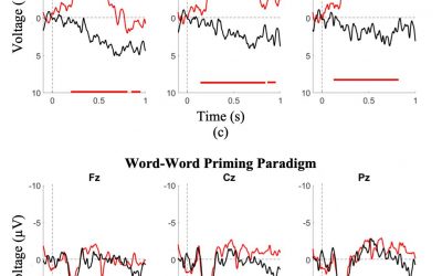 Event-Related Potentials