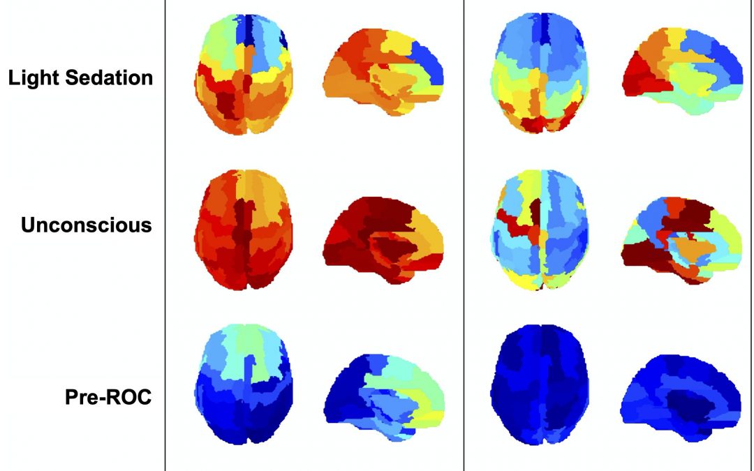 Neural Correlates of Consciousness